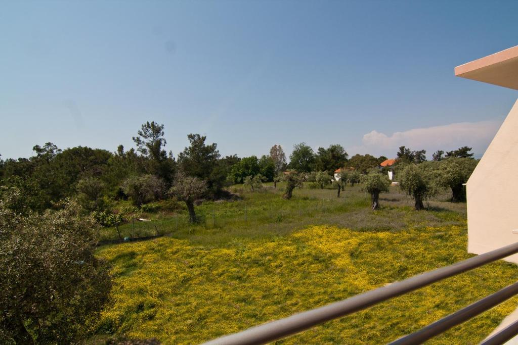 Studios Dimitraki Skala Rachoni  Номер фото